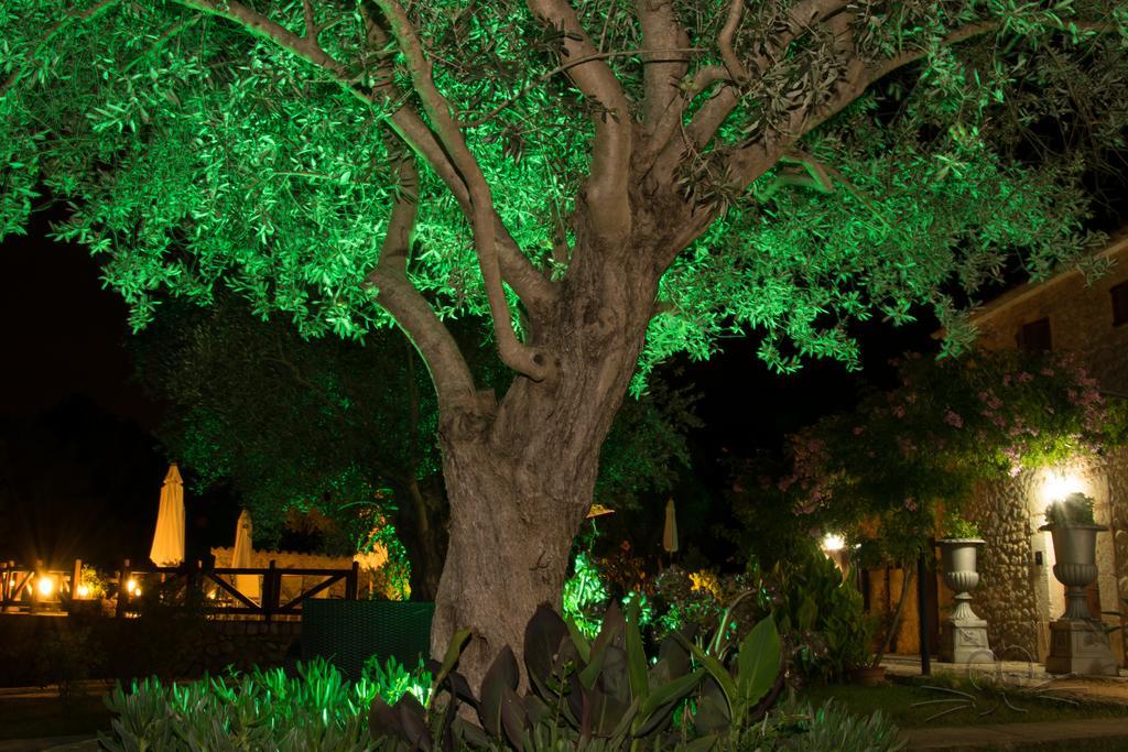Finca Son Olive Selva (Mallorca) Exterior foto